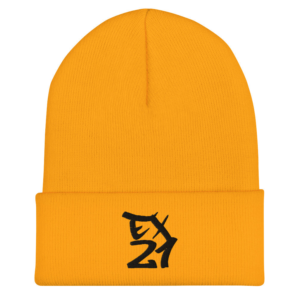 ROOSEVELT EX21 Cuffed Beanie