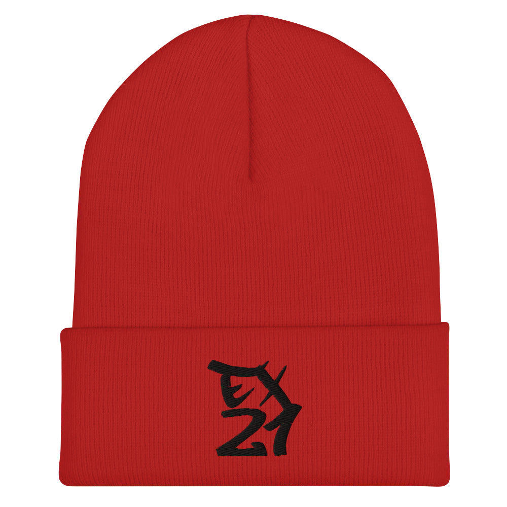 ROOSEVELT EX21 Cuffed Beanie